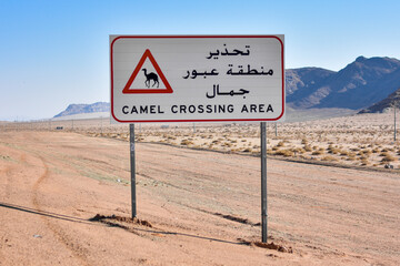 Camel crossing traffic sign in the desert of Saudi Arabia.
