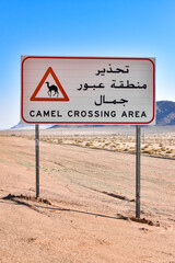 Camel crossing traffic sign in the desert of Saudi Arabia.