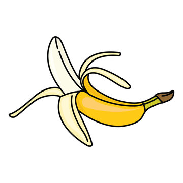 Cartoon banana drawings: single, peeled . Vector clip art illustration collection.