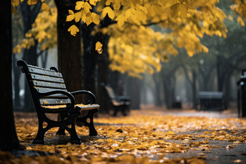 fresh and pure human with park's allure is enhanced by rain, as droplets cling to leaves, paths shimmer, and benches beckon for moments of reflection