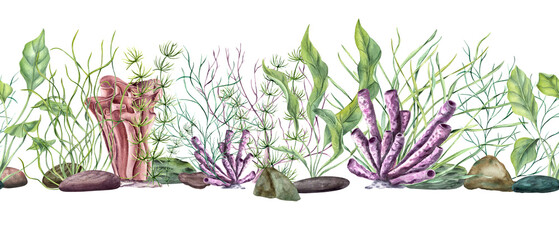 Fototapeta na wymiar Horizontal seamless banner with undersea plants, corals, stones. Green, yellow kelps, colored polyps, pebbles. Lagoon underwater world. Marine fauna. Watercolor illustration for package.