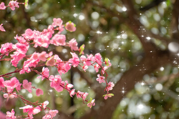 Plastic cherry blossoms decorate the garden
