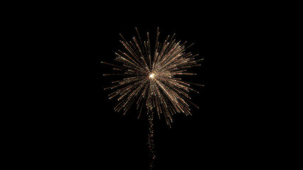 Bloom of firework in dark black background, firework explosion. firework background. - obrazy, fototapety, plakaty