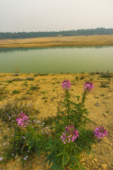 Dry landscape in Kupli Dam, West Jaintia Hills, Meghalaya, India