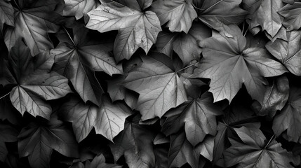 Black Background from autumn fallen leaves, generative ai