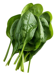 spinach isolated on white background
