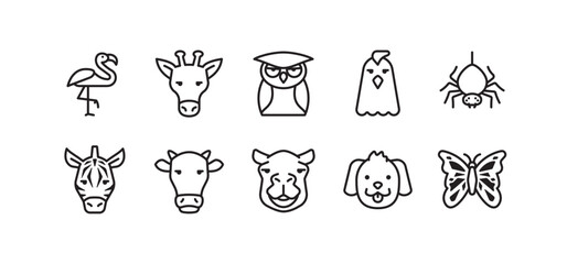 Set of animal icons. Simple outline animal icons pack contains icon such as cow, owl, camel, zebra, spider etc