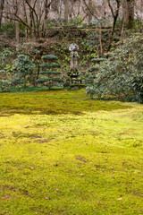 Moss garden in Sanzen-in temple in Kyoto, Japan