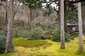Moss garden in Sanzen-in temple in Kyoto, Japan