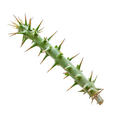 Naklejka premium Spike, isolated PNG object