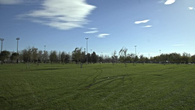 Seaside park full of trees in Maltepe, Istanbul