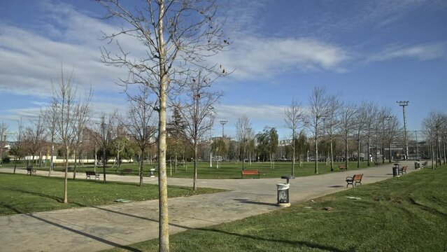 Seaside park full of trees in Maltepe, Istanbul