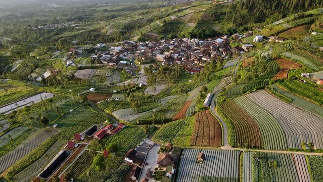 Aerial view of village surrounded by plantation. Landscape of tropical countryside. Slope of Mt.Sumbing, INdonesia