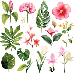 Realistic tropical botanical foliage plants. Set of tropical leaves and flowers Hand painted watercolor illustration isolated on white.
