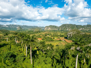 Fototapeta na wymiar Vinales valley in Cuba