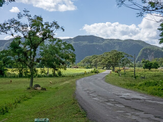 Vinales valley in Cuba