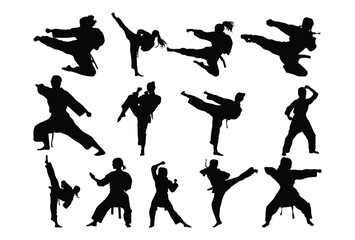 Set of Karate silhouette icon logo template vector illustration design