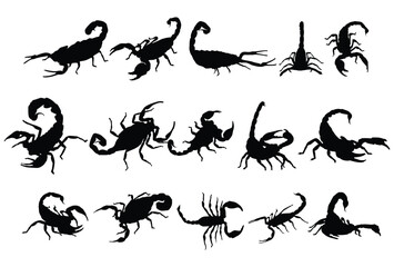 Set of Scorpion silhouette icon logo template vector illustration design