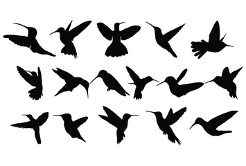 Set of Hummingbird silhouette icon logo template vector illustration design
