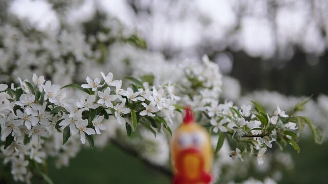 Head of funny, surprised toy suddenly appears in front of flowering tree branch. Meme toy chicken with gaping mouth and bulging eyes depicts misunderstanding in spring garden.