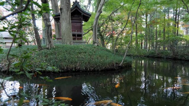 A koi fish pond in a Japanese temple in Tokyo, every detail of the landscape is designed to guarantee an internal state of contemplation and peace.
