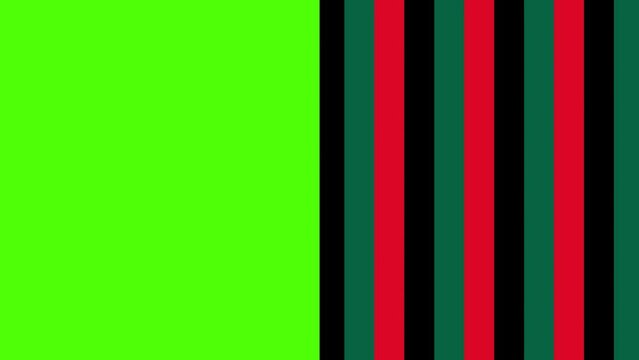 The opening scene of the curtain of the traditional three colors of Japan