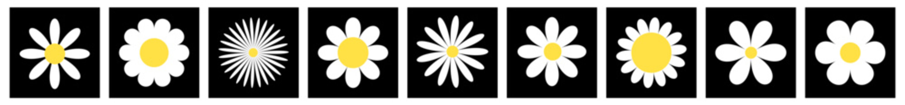 White chamomile icon set line. Daisy camomile. Square black shape frame silhouette. Cute flower plant. Love card. Cartoon kawaii funny collection. Growing concept. Flat design. White background.