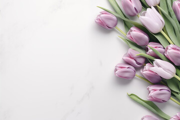 Women's Day Website Background or March 8 Postcard Featuring Soft Purple Tulips on a Crisp White Canvas - A Delicate Design with a Perfect Space for Heartfelt Messages 