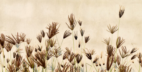 reeds in the morning - obrazy, fototapety, plakaty