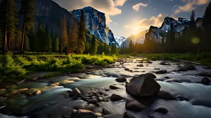 Foto auf Acrylglas Waldfluss Panoramic view of the mountain river in the Yosemite National Park