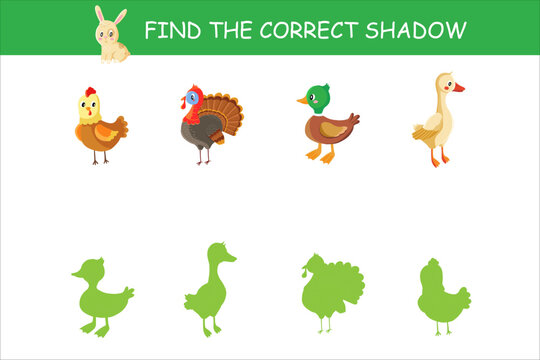 Educational Game for Children Focusing on Matching Animals to Their Correct Shadows