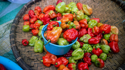 Fototapeta na wymiar Capsicum annuum L is a chili originating from Toraja and is known to be spicy