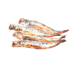 水彩で描いた焼いたシシャモのイラスト