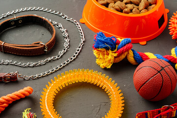 Dogs bowl and toys on gray background