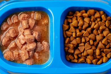 Plastic pet bowl with food on gray background