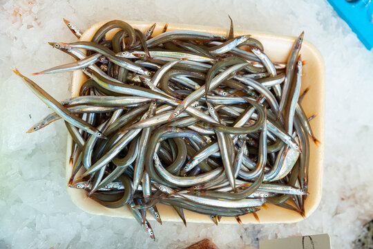 Fresh small fish for sale at market. High quality photo