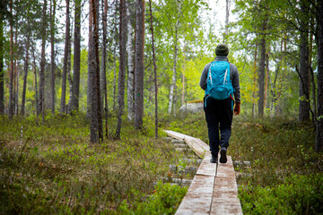 woman hiking on duckboards in national park