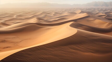 Fototapeta na wymiar Sand dunes in the Sahara desert, Morocco. Panoramic view