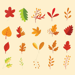 Sets of leaves. Different varieties and colors of Autumn leaves. Autumn leaves vector collection. Vibrant autumn leaves isolated in cartoon style. Can use for editorial, sticker, icon, and promotions.