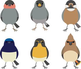 野鳥セット2　正面　全身