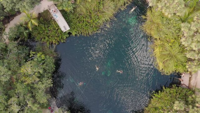 Aguas verdes de cenote escondido en Tulum Quintana Roo, rodeado de la selva abundante