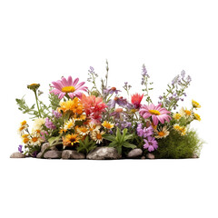Flower bed flower isolated on transparent background