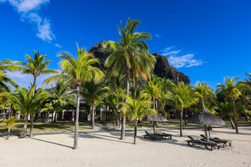 Fototapeta na wymiar Sandy Beach With Palm Trees and Mountain in Background, Mauritius