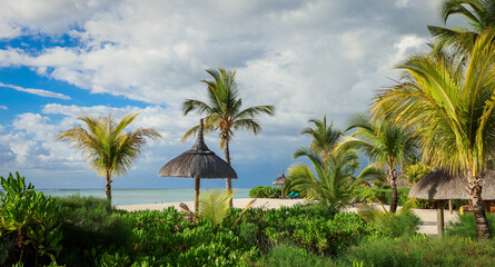 Beach With Palm Trees and Thatched Roof in Mauritius