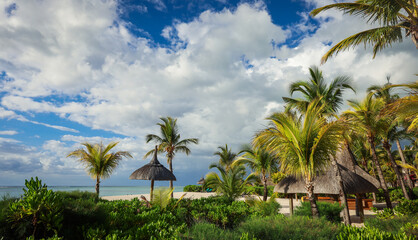 Tropical Beach With Palm Trees and Hut in Mauritius © Dave