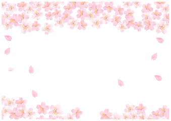 Fototapeta premium 桜の花が美しい春の桜フレーム背景25
