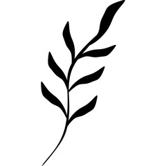 Hand Drawn Abstract Plant