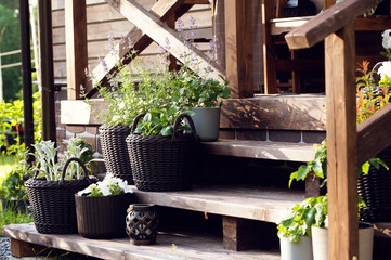rustic wooden country house front porch decorated with rattan flowerpots in summer.