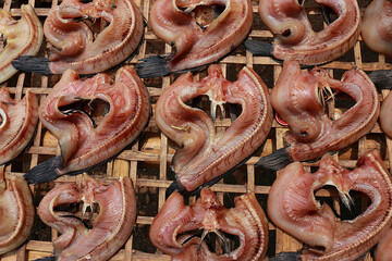 Single sunshine dried fish made from snakehead fish
