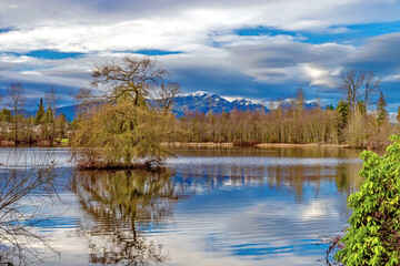 Como Lake Park at Winter time in Coquitlam City, Tree on the island and bare trees around the lake with blue water. Mountain ridge on the horizon. Blue cloudy sky